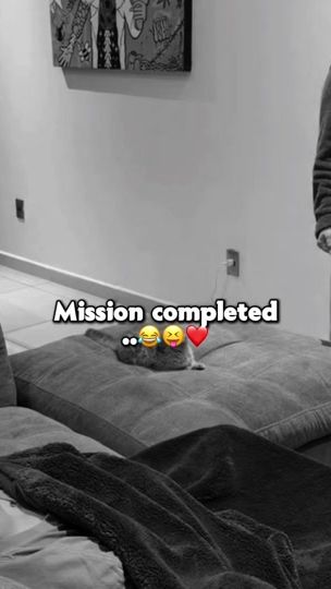 TikTok video thumbnail by more12003