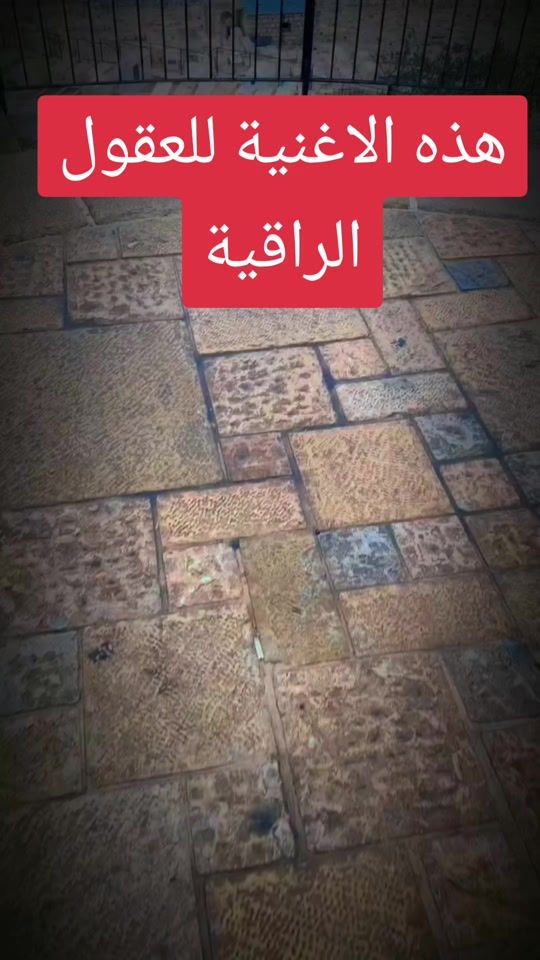 TikTok video thumbnail by essam_fritekh70