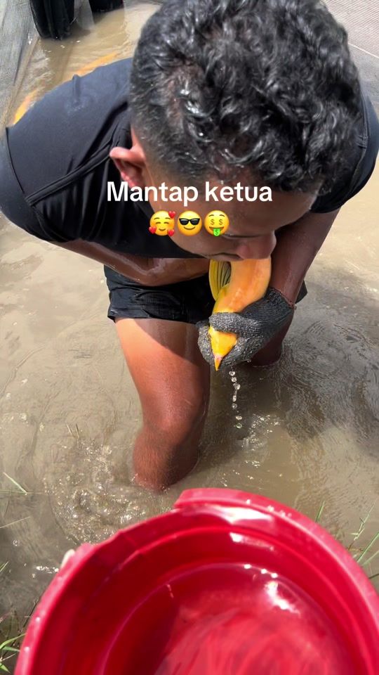 TikTok video thumbnail by faqkingz86