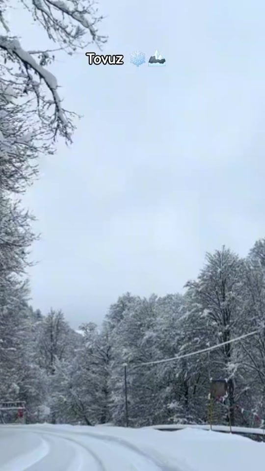 TikTok video thumbnail by _n.h_06