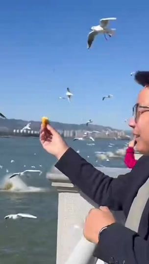 TikTok video thumbnail by xiaoma.123