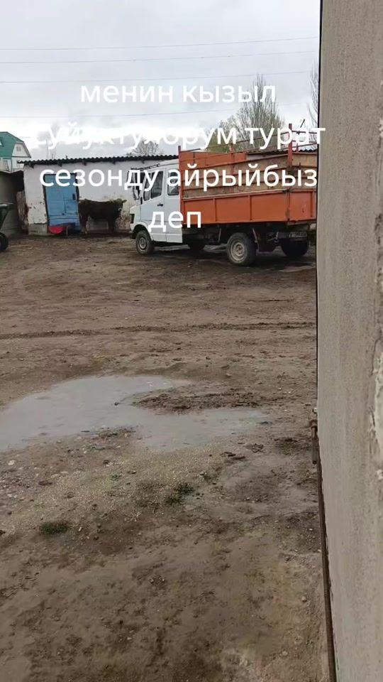 TikTok video thumbnail by useruserusernnhjj