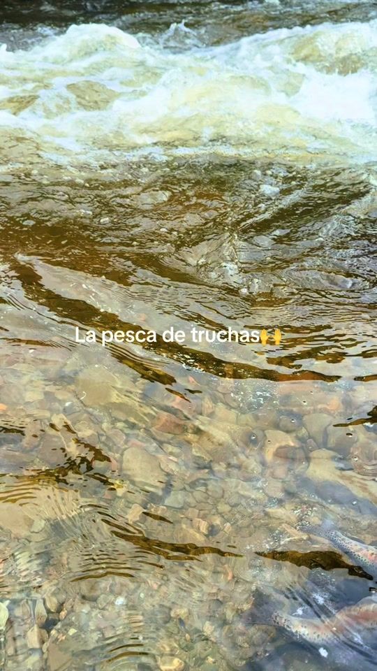 TikTok video thumbnail by jota.vidal