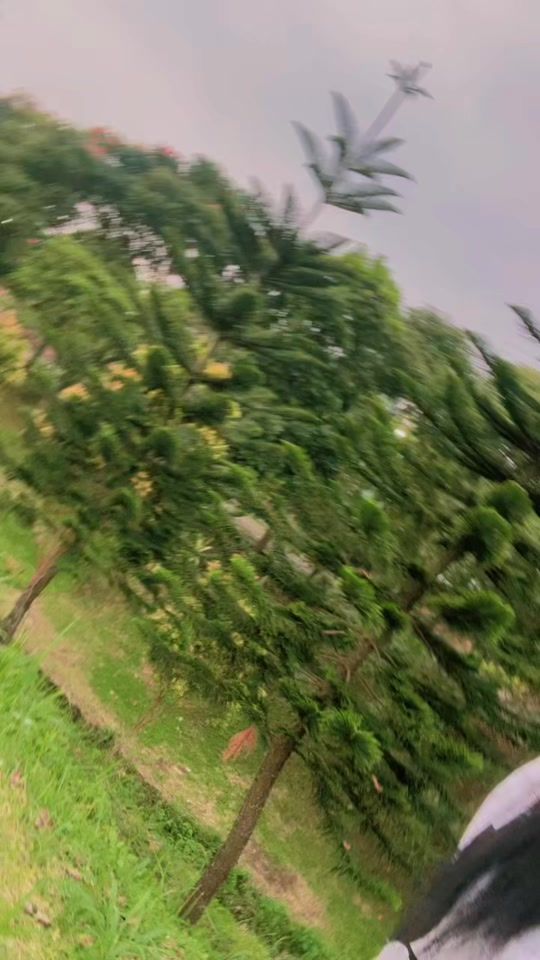 TikTok video thumbnail by sherlyjedor