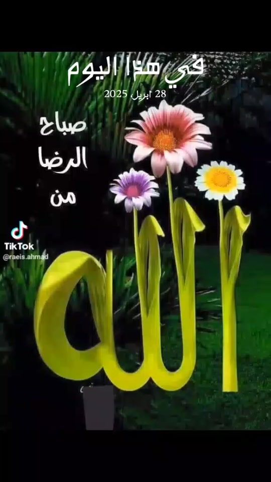 TikTok video thumbnail by em.odah79