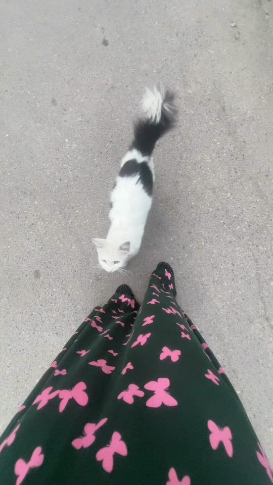 TikTok video thumbnail by osmanova_111
