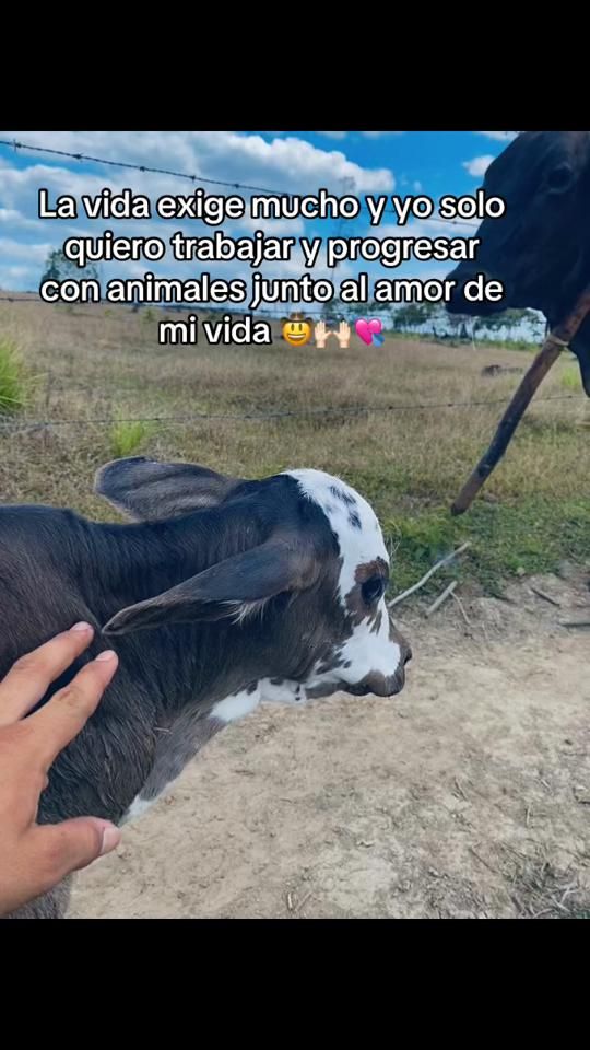 TikTok video thumbnail by any._.334