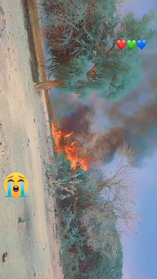 TikTok video thumbnail by alios2271