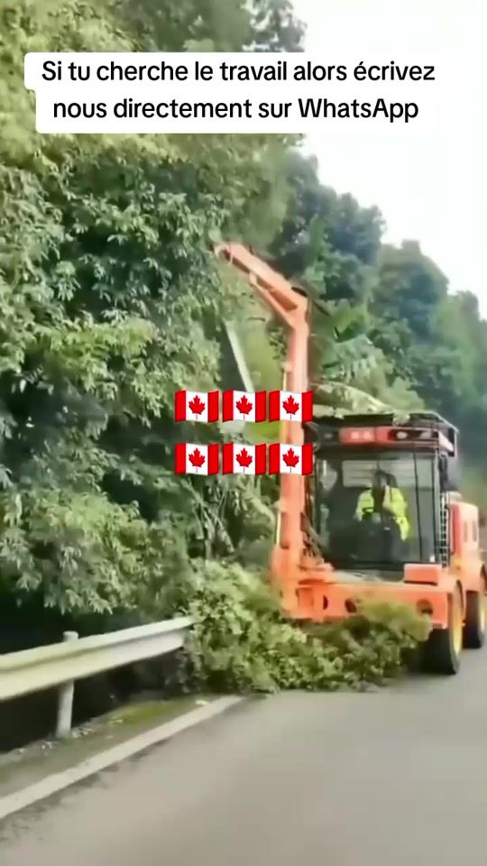 TikTok video thumbnail by servicevoyageplus1