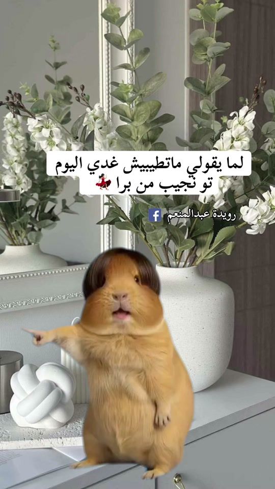 TikTok video thumbnail by marmar_95_95