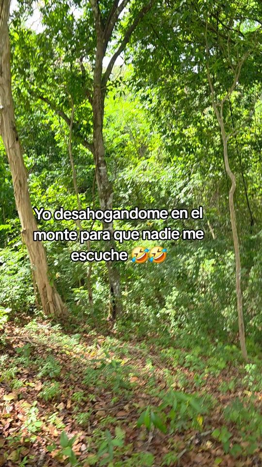 TikTok video thumbnail by melissachacon045