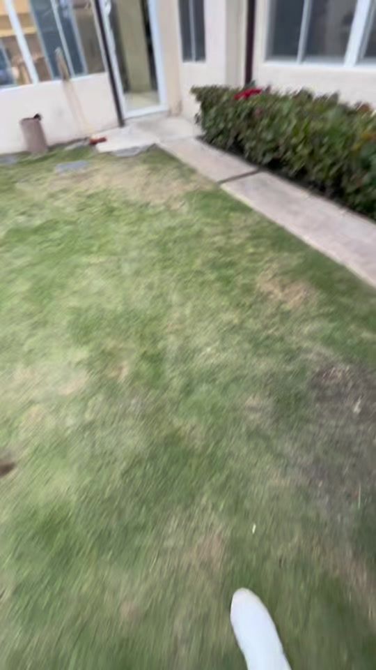 TikTok video thumbnail by esnapier2