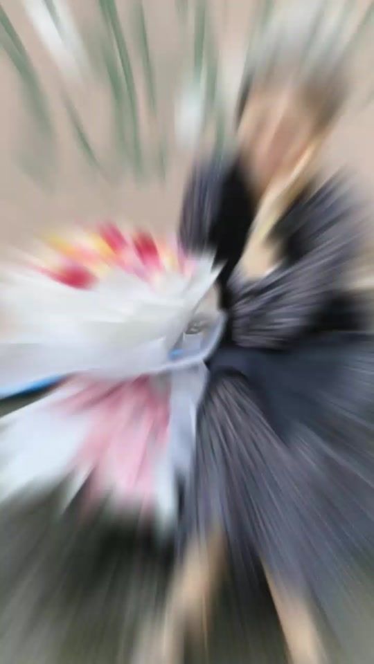 TikTok video thumbnail by mg.mg58740