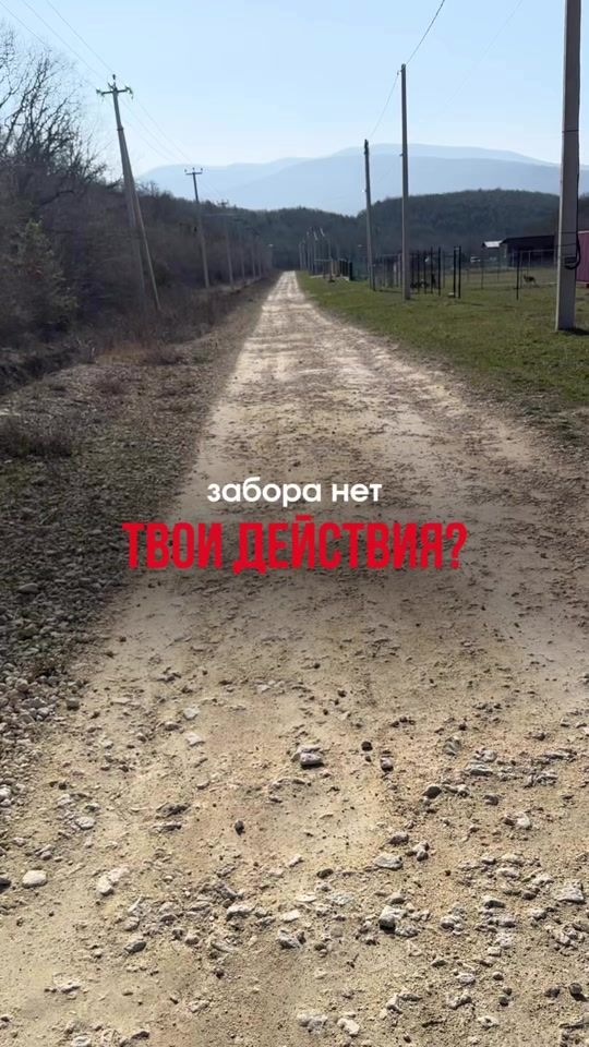 TikTok video thumbnail by labrador.marty