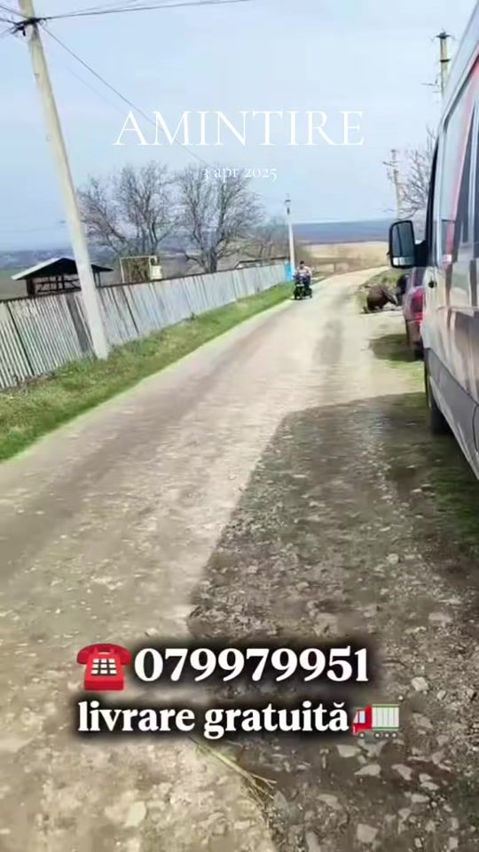 TikTok video thumbnail by pemotto.triciclete