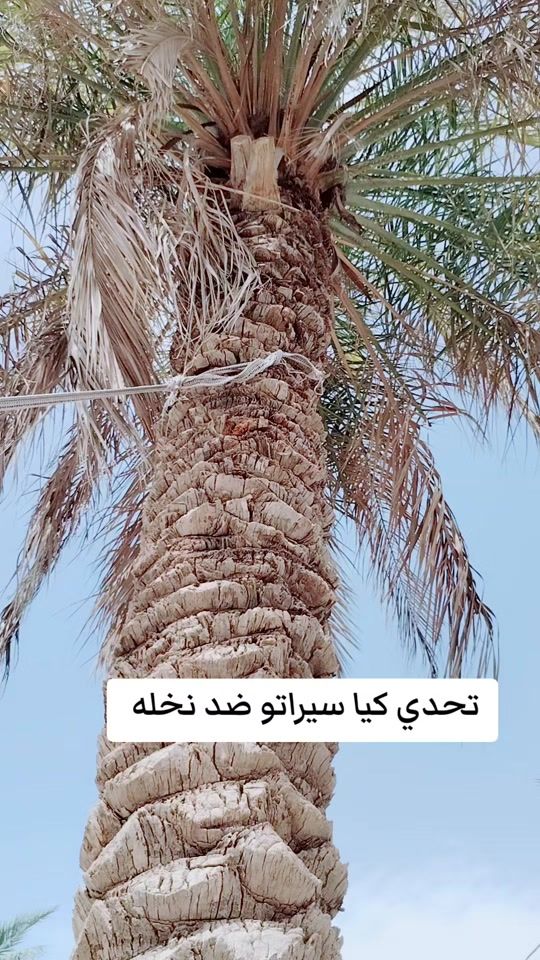 TikTok video thumbnail by my_mhamed