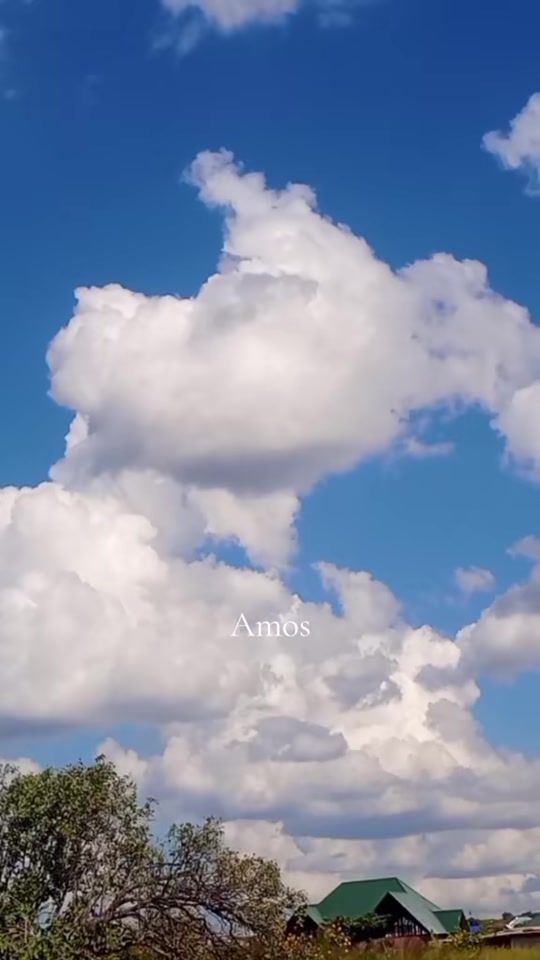TikTok video thumbnail by amos.mwanza