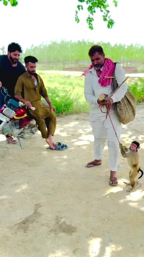 TikTok video thumbnail by pendu399