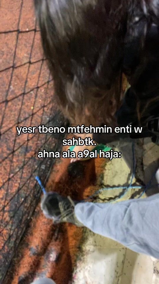 TikTok video thumbnail by sn6._ran