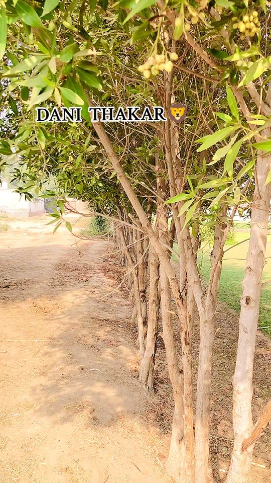 TikTok video thumbnail by ranadanithakar75