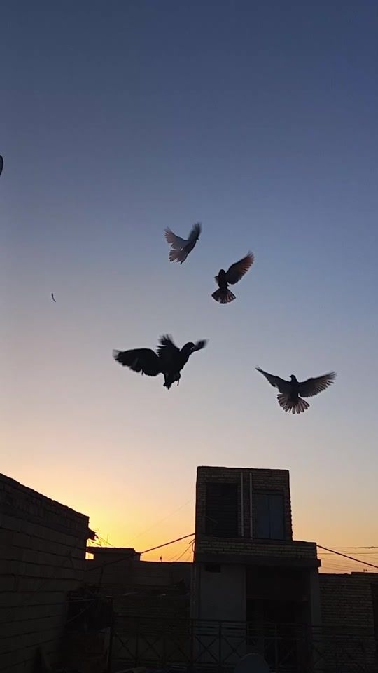 TikTok video thumbnail by ab8es