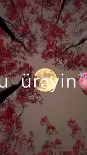 TikTok video thumbnail by pena_nary