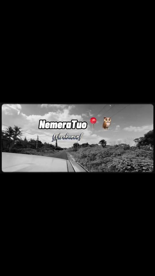 TikTok video thumbnail by _yknk_nmrtuo_
