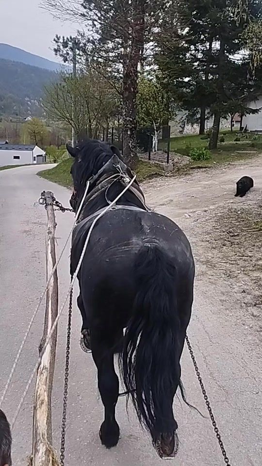 TikTok video thumbnail by lipovaca3
