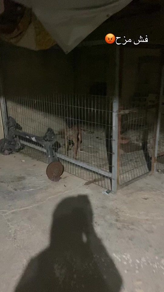 TikTok video thumbnail by mlak_sh123