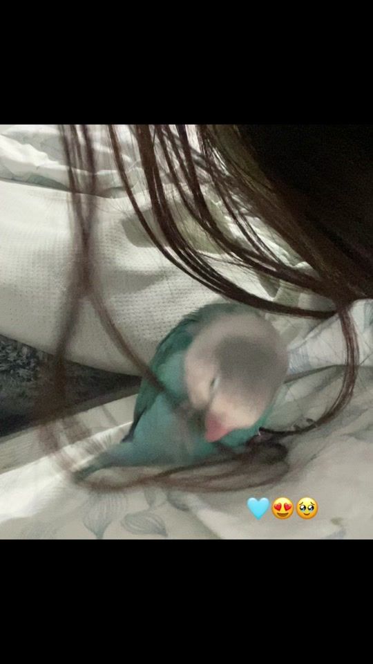 TikTok video thumbnail by ltrsss__
