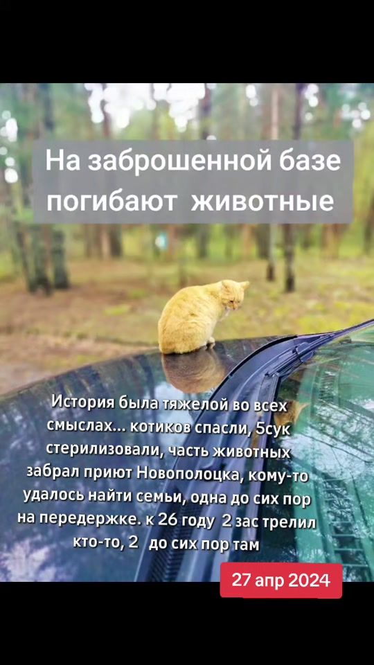 TikTok video thumbnail by bim_vitebsk