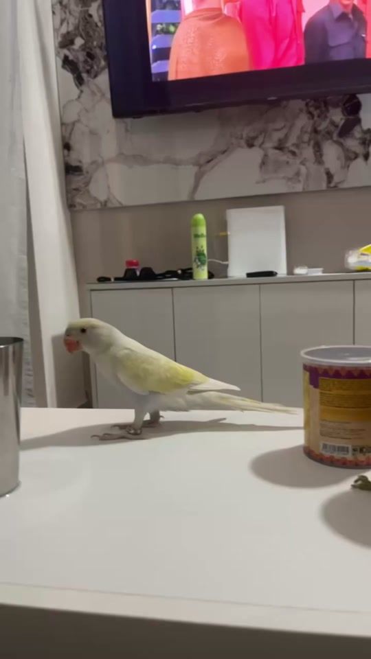 TikTok video thumbnail by pgqueen21