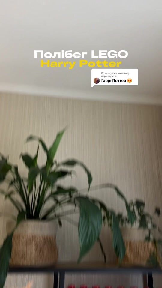 TikTok video thumbnail by sashko.konst
