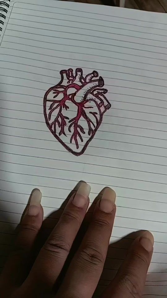 TikTok video thumbnail by la_mica_1891