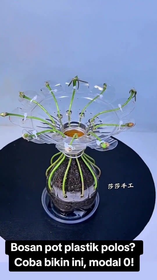 TikTok video thumbnail by starseven80