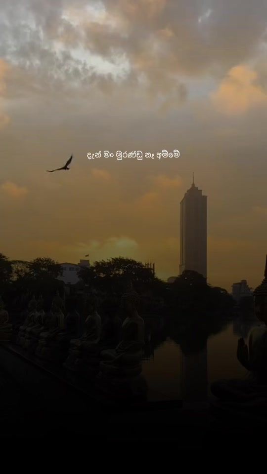 TikTok video thumbnail by findinginfinity0