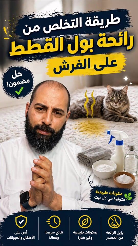 TikTok video thumbnail by hamshary.cat