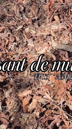 TikTok video thumbnail by vitalina..vy
