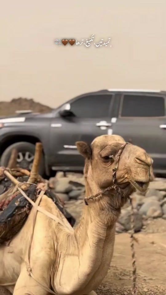 TikTok video thumbnail by k_a_7_l_a7