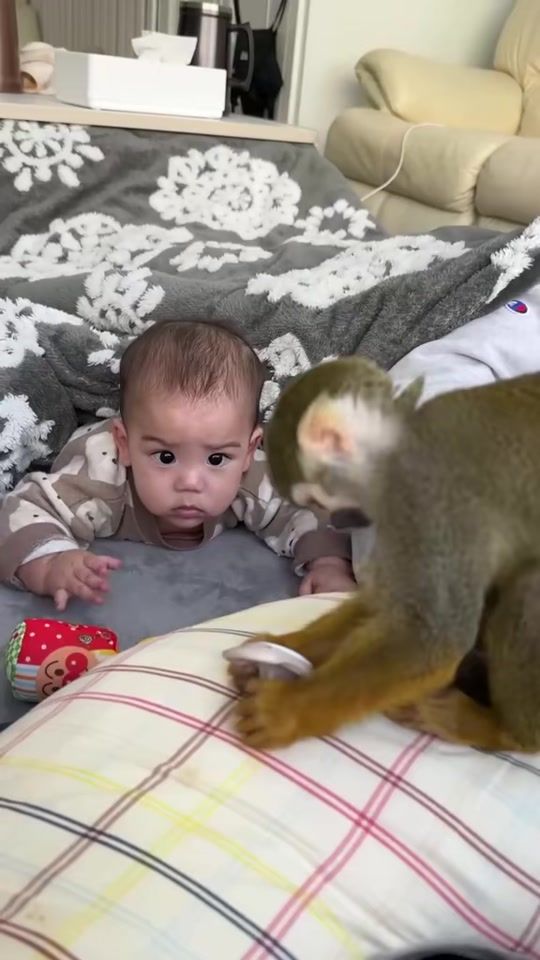 TikTok video thumbnail by monkey.pipi