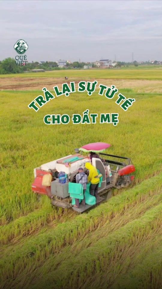 TikTok video thumbnail by queviet.vn
