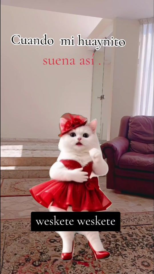 TikTok video thumbnail by leyla_rojas29