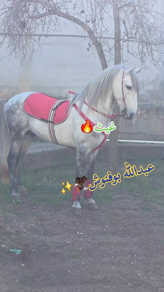 TikTok video thumbnail by aldarsi81