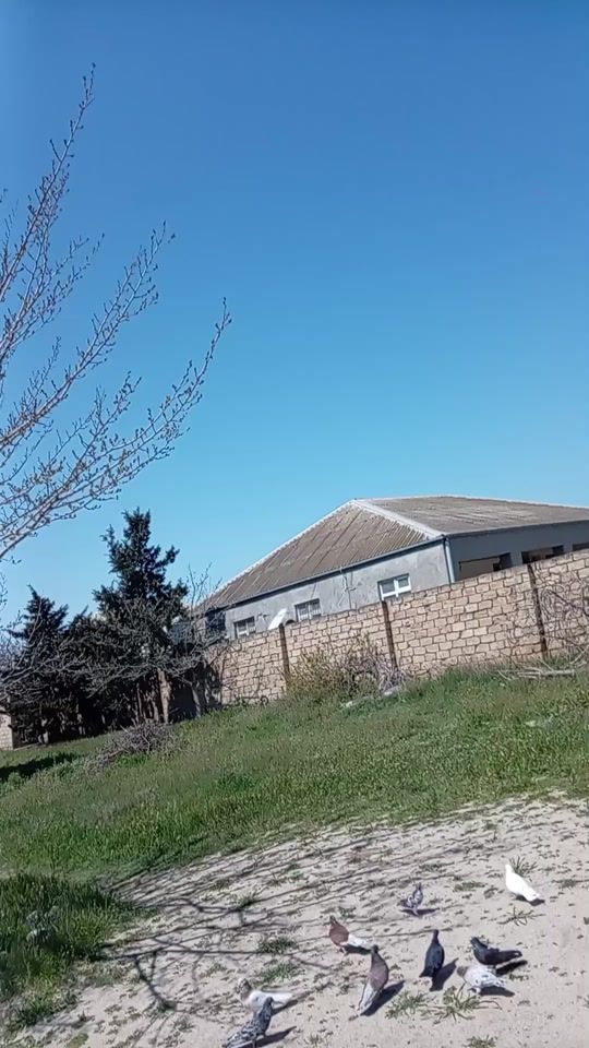 TikTok video thumbnail by youtubeeldar