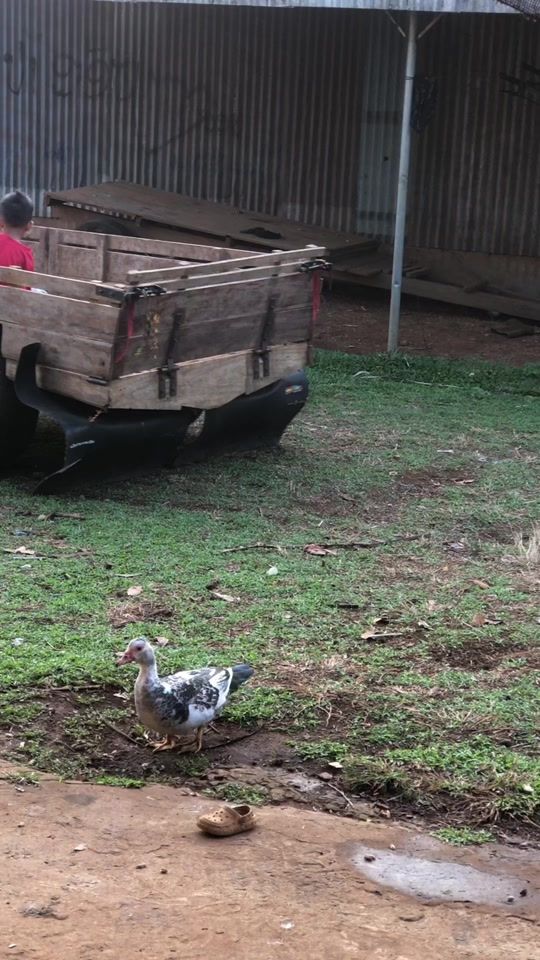 TikTok video thumbnail by jone.2007s