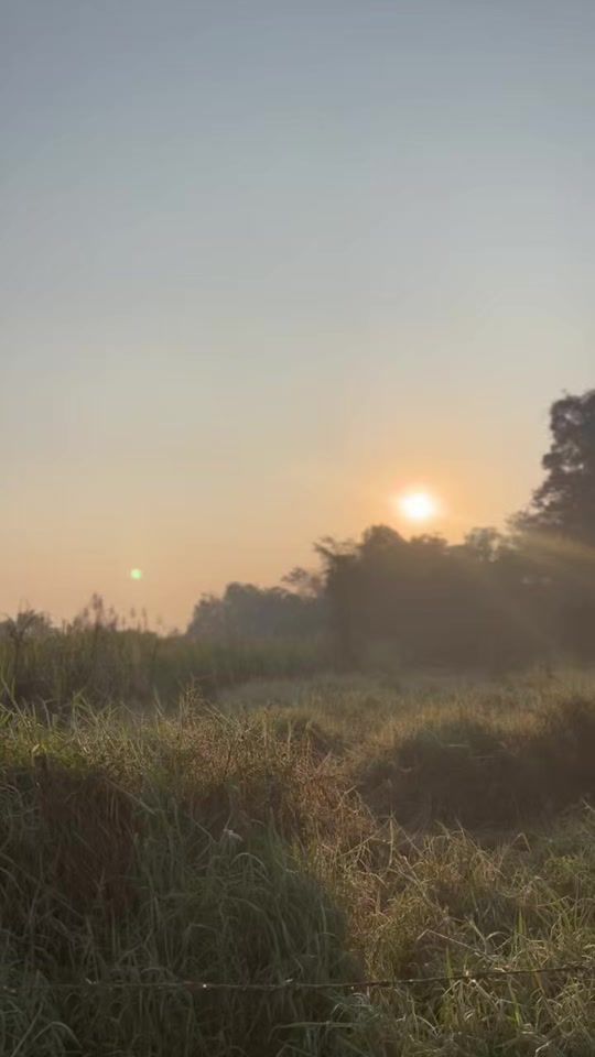 TikTok video thumbnail by charcoal_ud