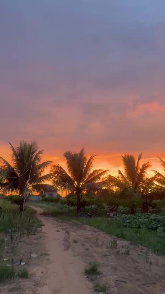 TikTok video thumbnail by tn.agri2