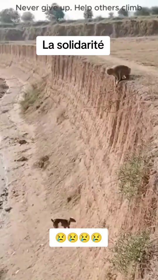 TikTok video thumbnail by tnt23m1