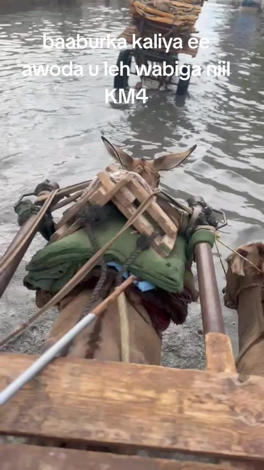 TikTok video thumbnail by fahmoqaran