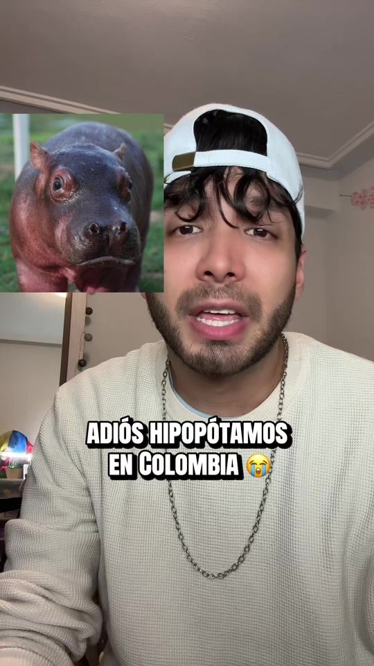 TikTok video thumbnail by nicomaurob